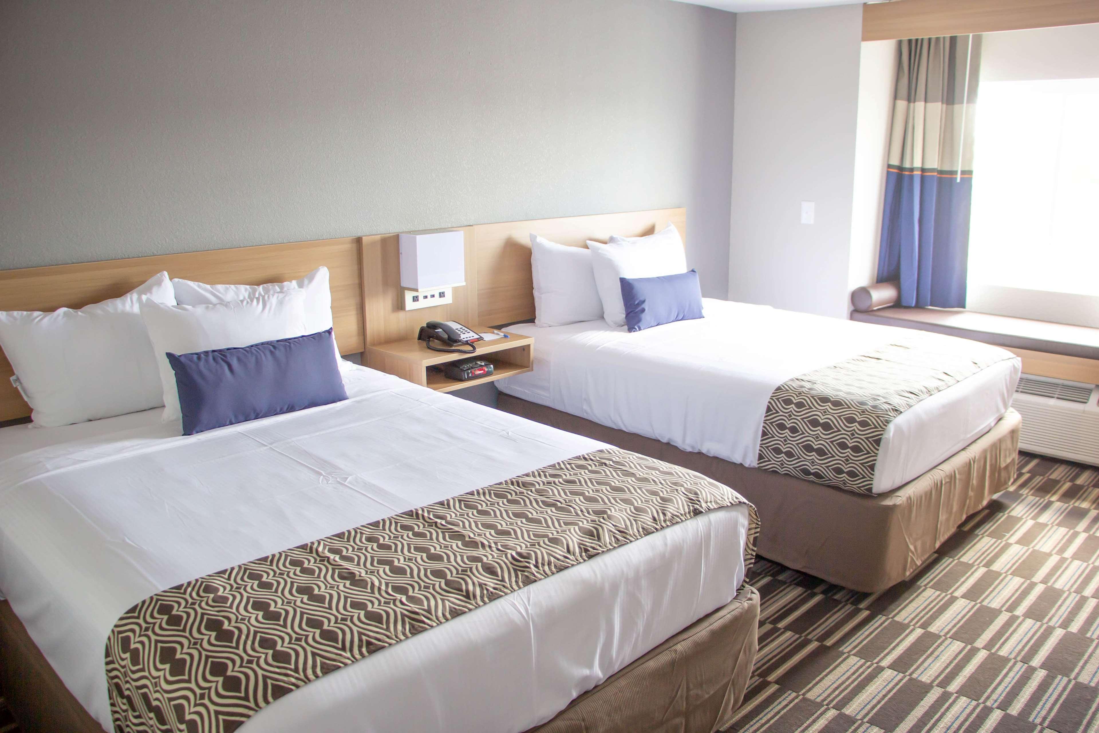 Microtel Inn & Suites By Wyndham Camp Lejeune/ג'קסונוויל מראה חיצוני תמונה